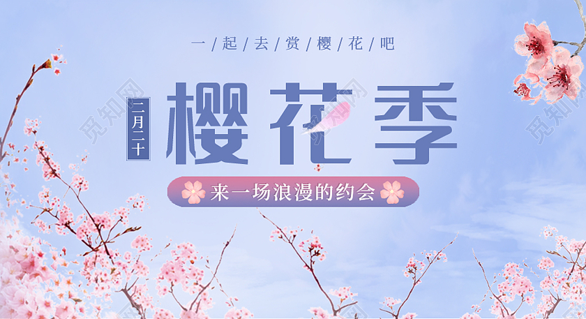 紫色插画风樱花节微信公众号封面公众号封面ui