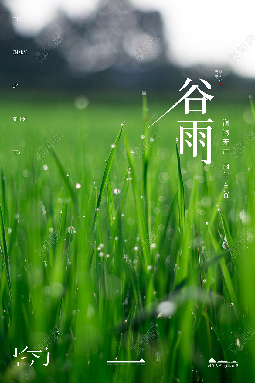 实拍谷雨水滴节气海报二十四节气24节气谷雨