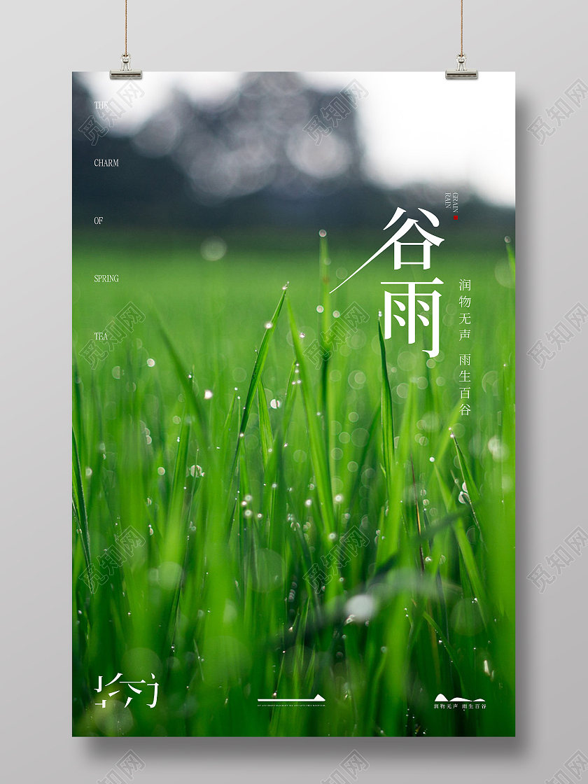 实拍谷雨水滴节气海报二十四节气24节气谷雨