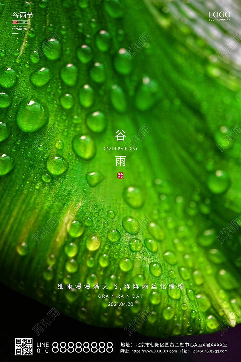 绿色实拍简洁谷雨二十四节气海报二十四节气24节气谷雨