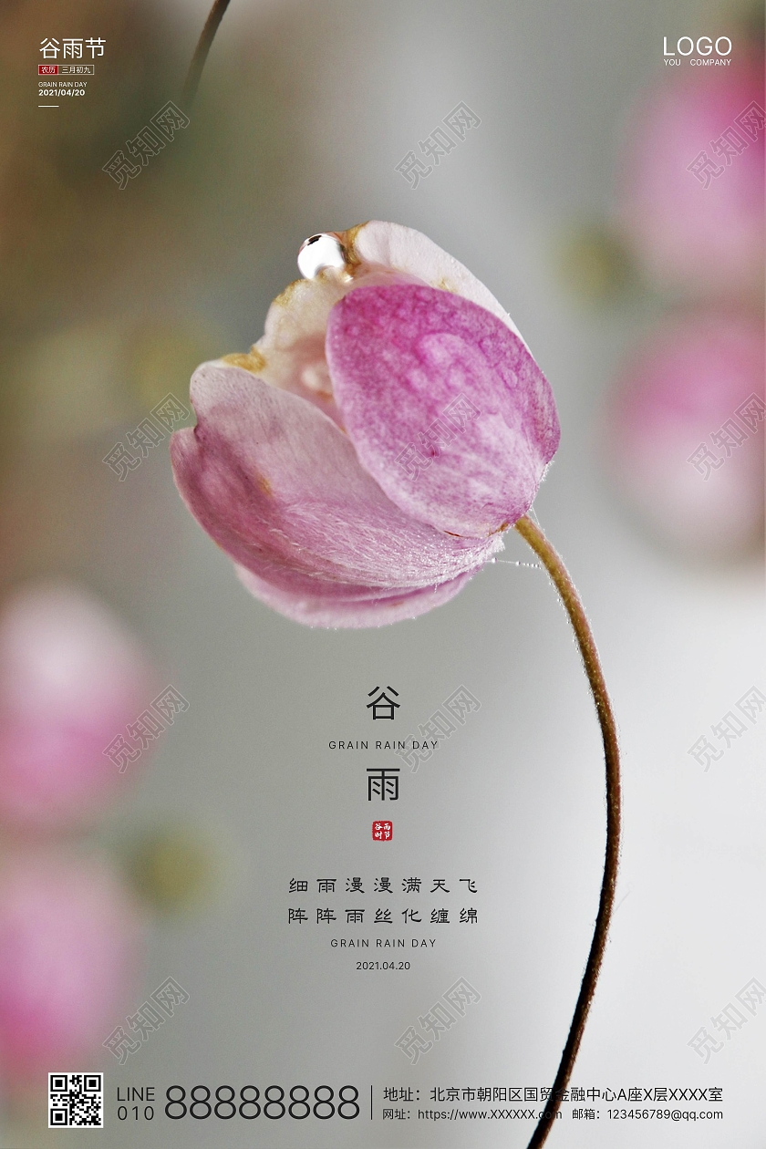 粉色实拍简洁谷雨二十四节气海报二十四节气24节气谷雨