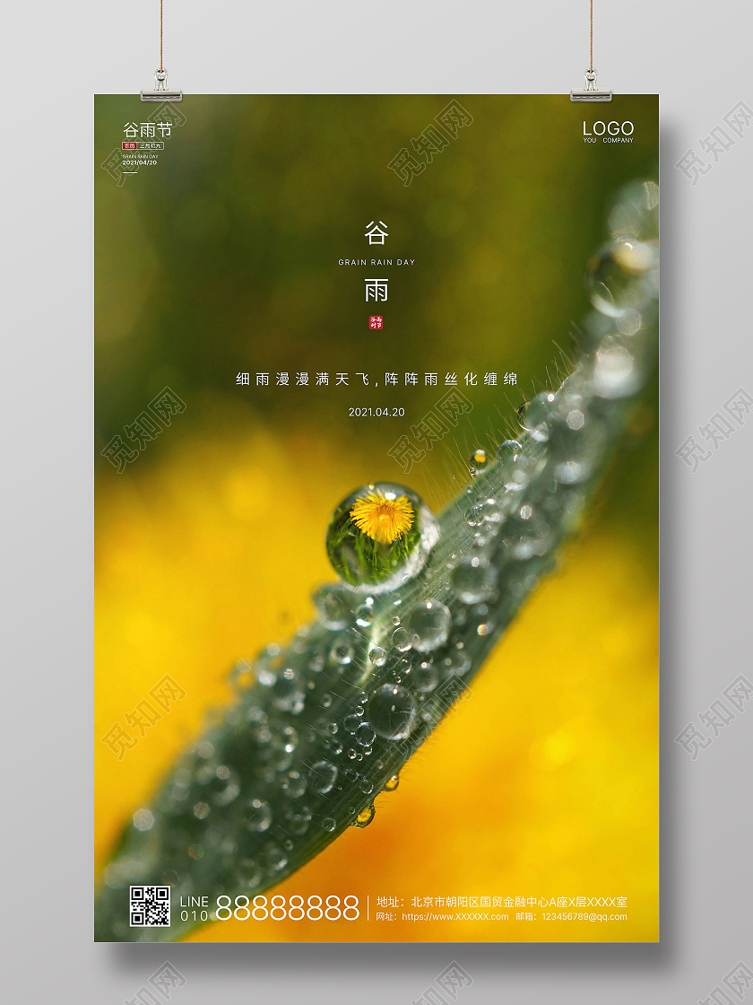 黄绿实拍简洁谷雨二十四节气海报二十四节气24节气谷雨