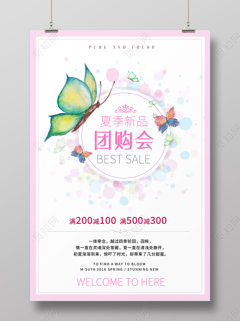 粉色简约夏季新品团购会夏日团购海报夏季团购