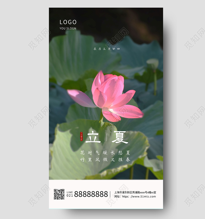 大气中国传统节气立夏海报设计二十四节气荷花二十四节气24节气立夏ui手机海报