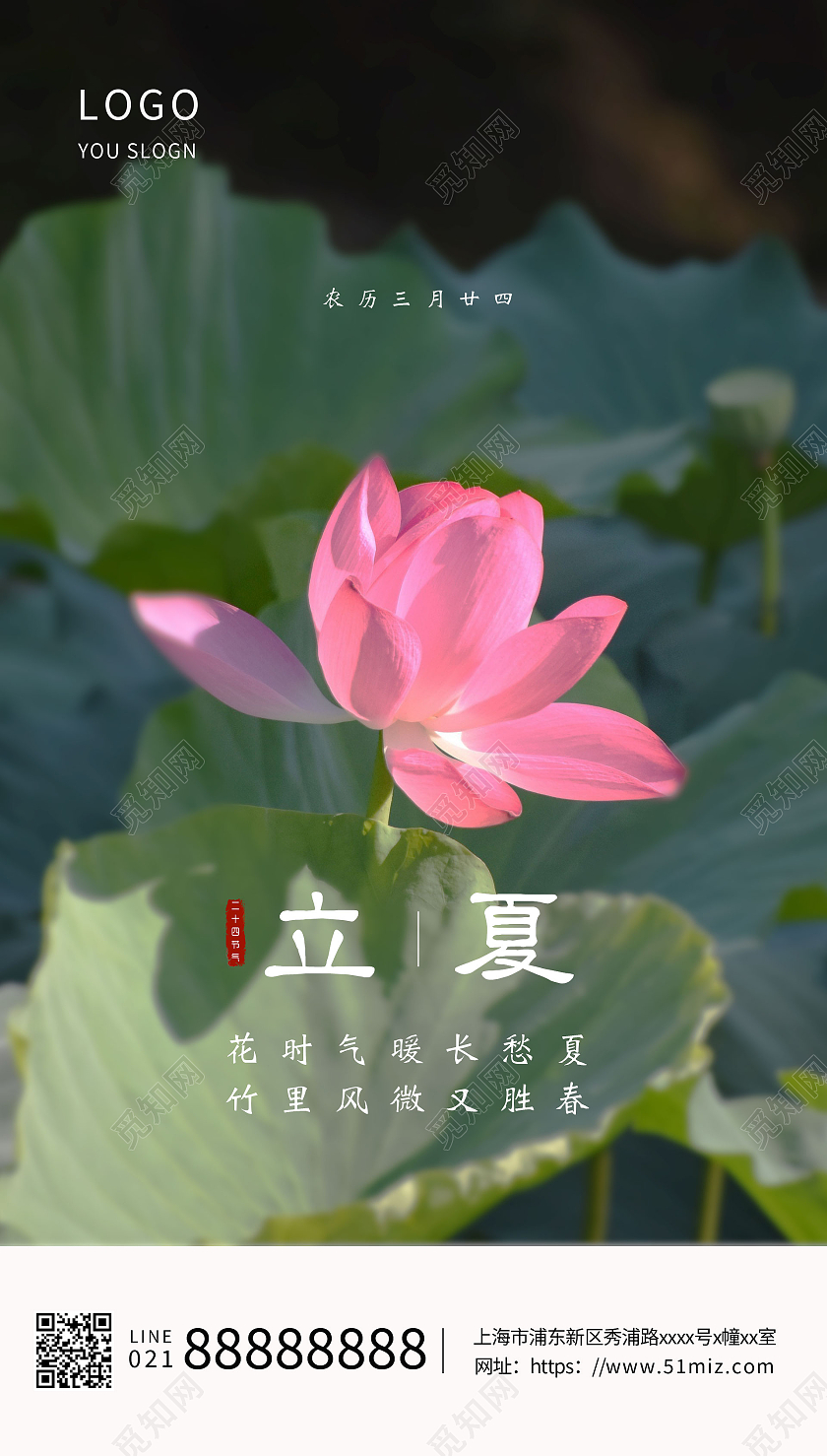 大气中国传统节气立夏海报设计二十四节气荷花二十四节气24节气立夏ui手机海报