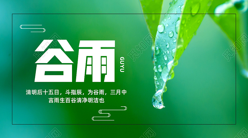 绿色谷雨水滴树叶特写二十四节气公众号头图二十四节气谷雨公众号首图