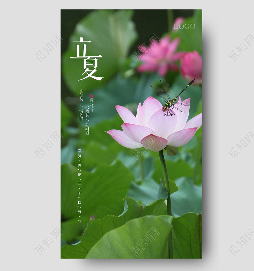 绿色艺术立夏荷花海报二十四节气24节气立夏ui手机海报