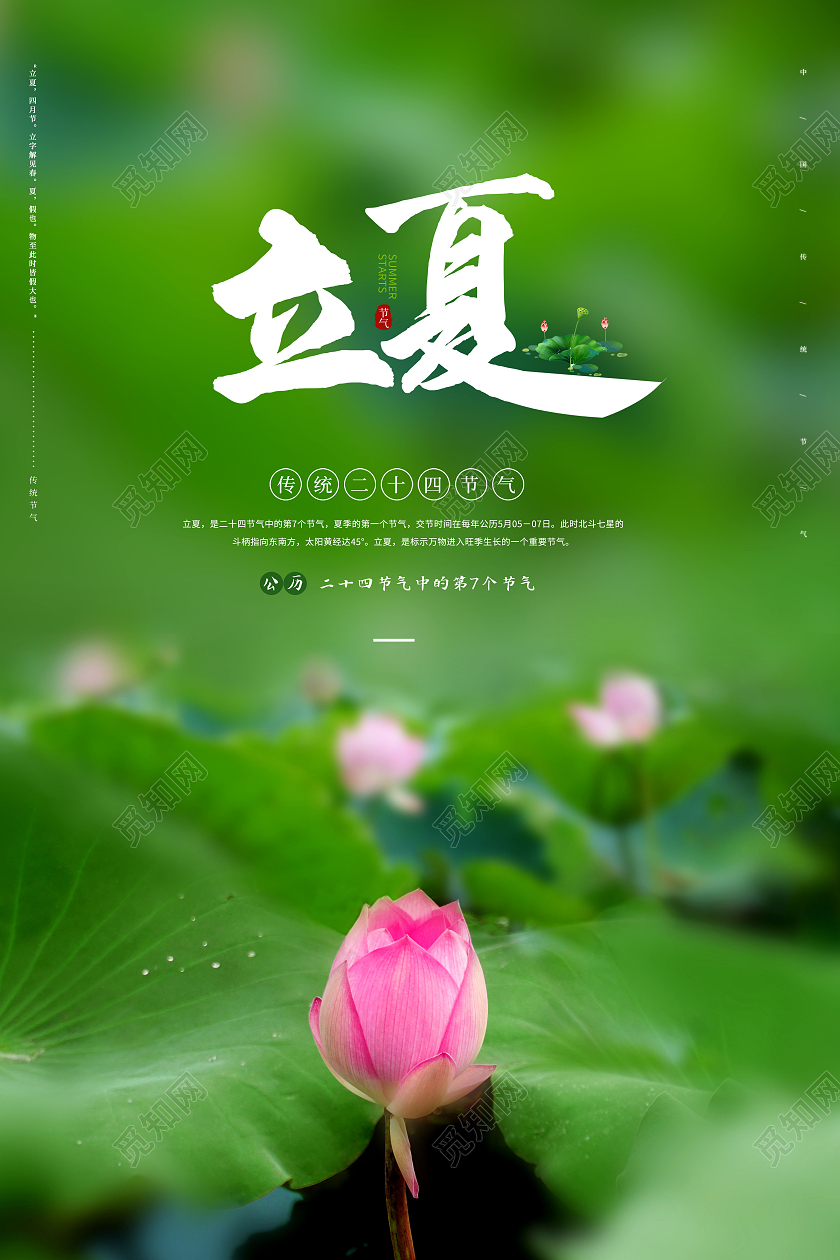 清新二十四节气立夏海报二十四节气24节气立夏