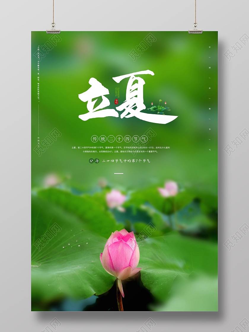 清新二十四节气立夏海报二十四节气24节气立夏