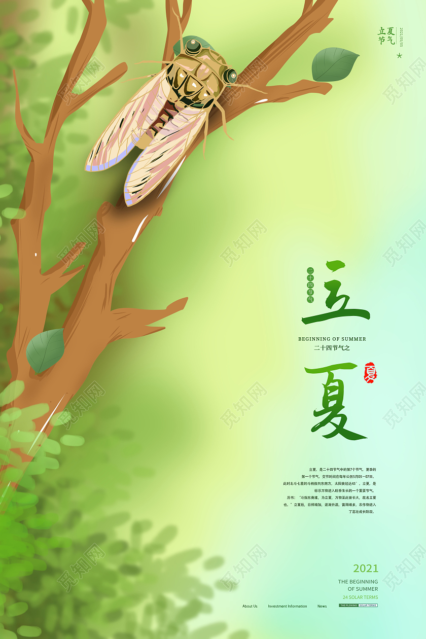 简约二十四节气24节气立夏海报