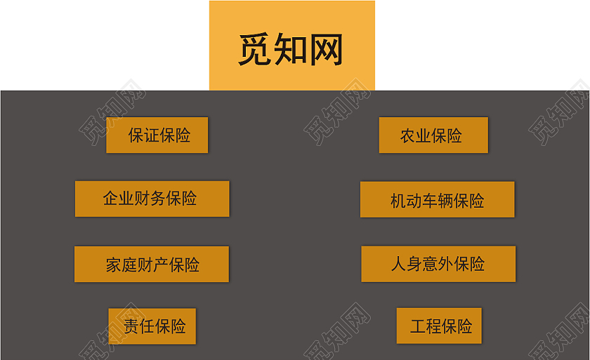 黑色简约保险名片