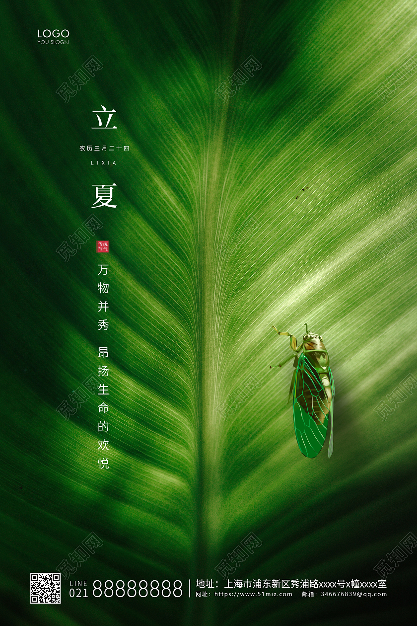 绿色简约二十四节气立夏节气宣传海报二十四节气24节气立夏