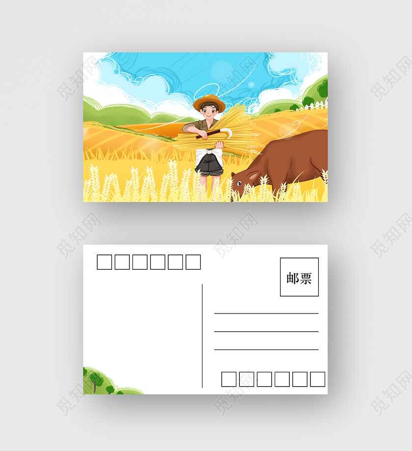 黄色插画风芒种明信片