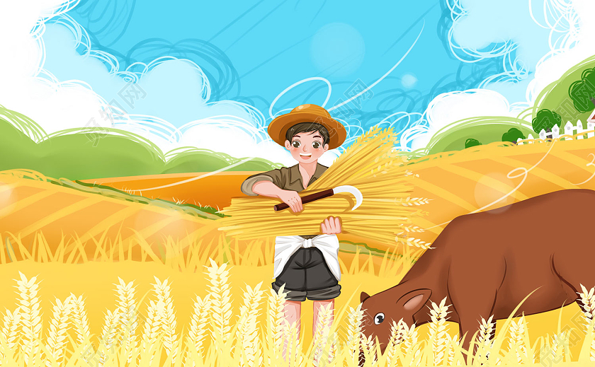 黄色插画风芒种明信片