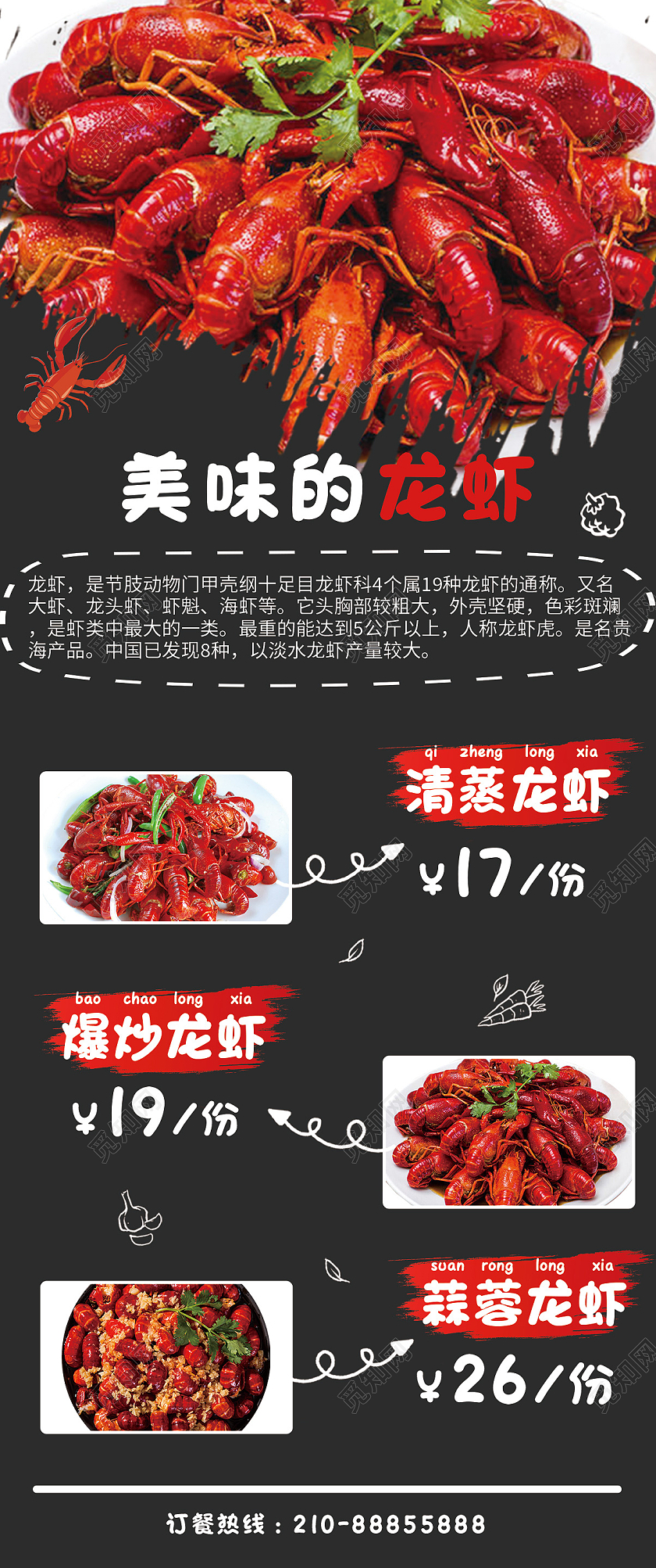 灰色手绘简约美味的龙虾易拉宝小龙虾展架