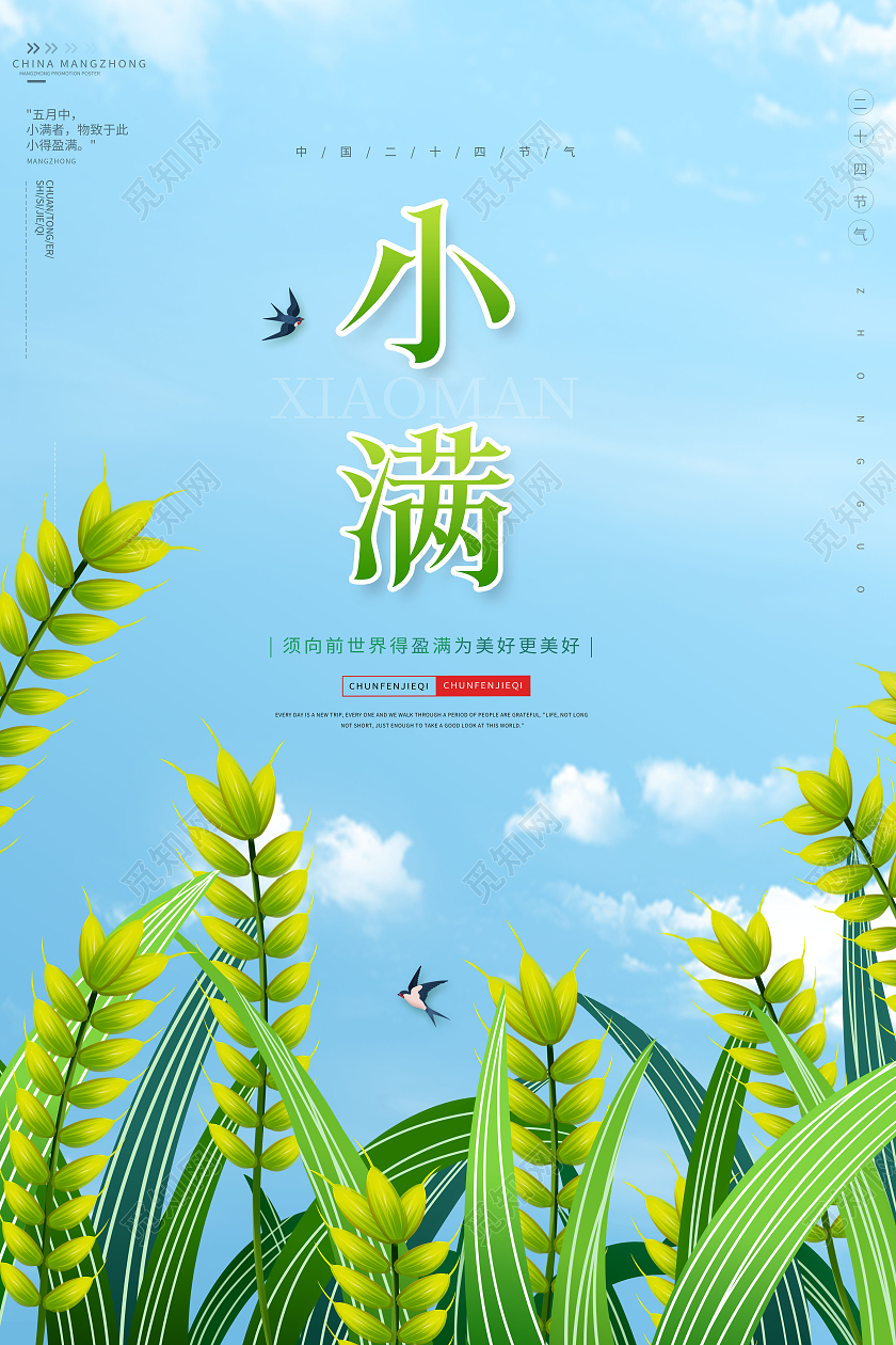 简约小满节气中国传统二十四节气小满海报24节气二十四节气小满