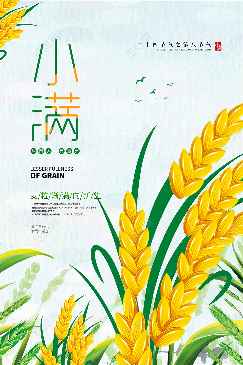 黄色卡通小满节气海报24节气二十四节气小满