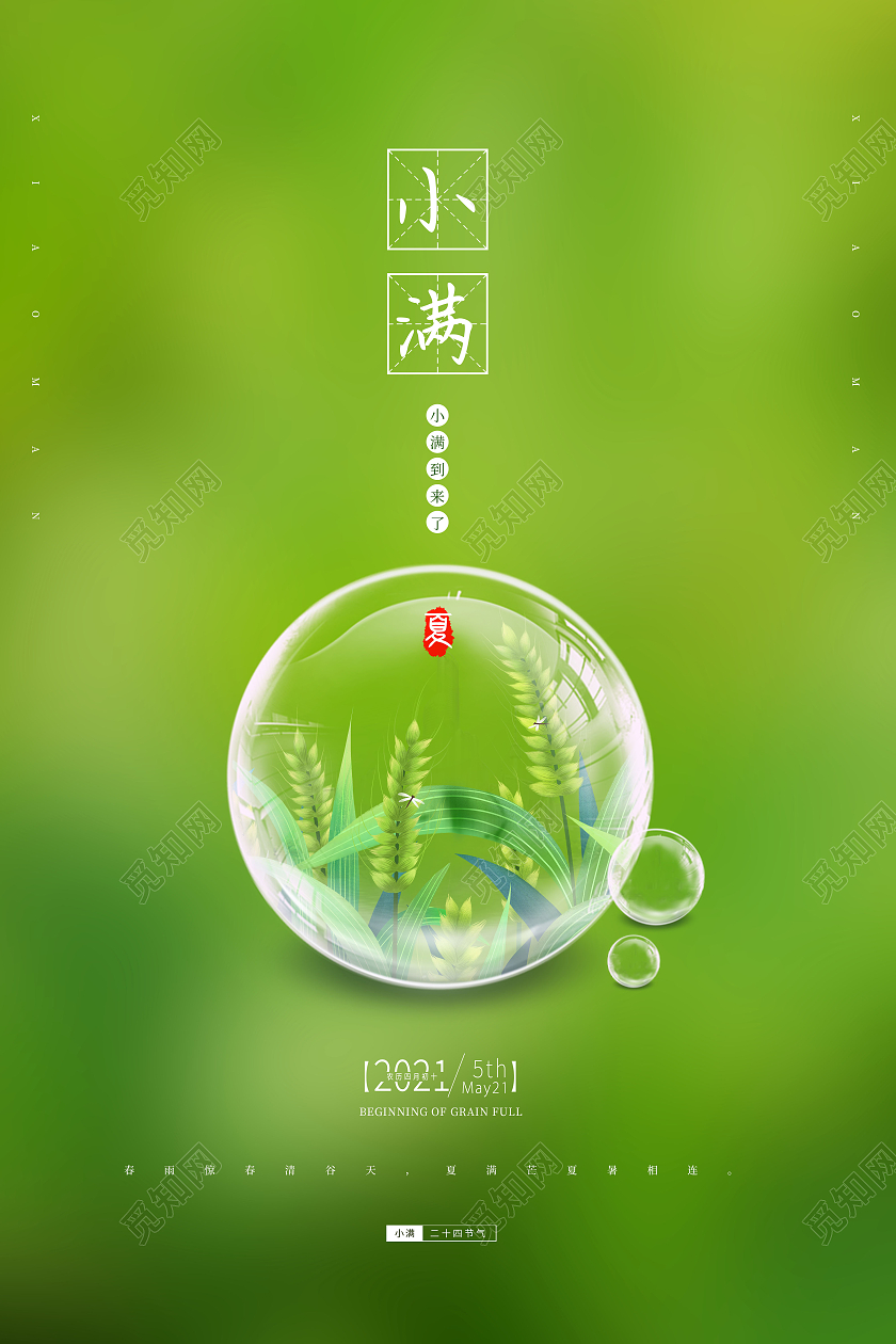 简约小满节气中国传统二十四节气小满海报24节气二十四节气小满