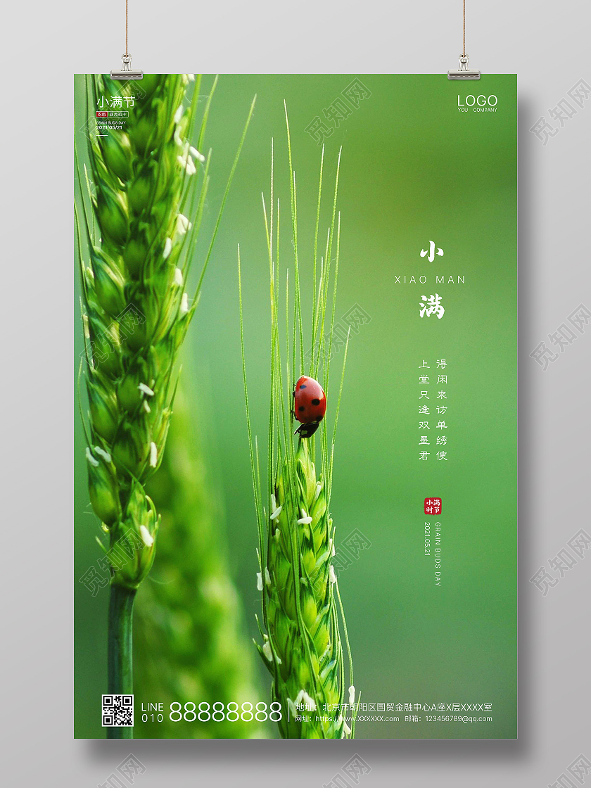 绿色实拍简洁小满二十四节气海报二十四节气24节气小满24节气二十四节气小满