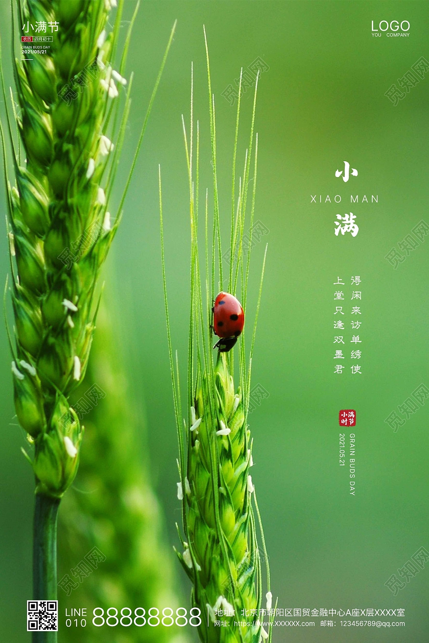 绿色实拍简洁小满二十四节气海报二十四节气24节气小满24节气二十四节气小满