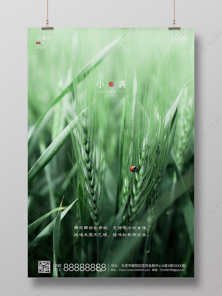 绿色实拍简洁小满二十四节气海报二十四节气24节气二十四节气小满