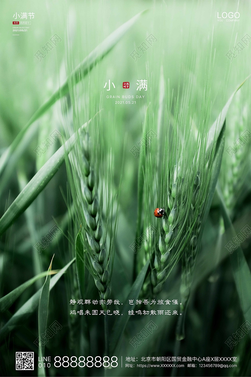 绿色实拍简洁小满二十四节气海报二十四节气24节气二十四节气小满