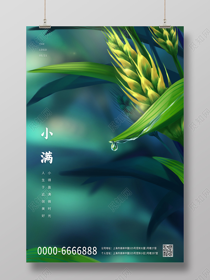 绿色小清新中国传统节日小满宣传海报24节气二十四节气小满