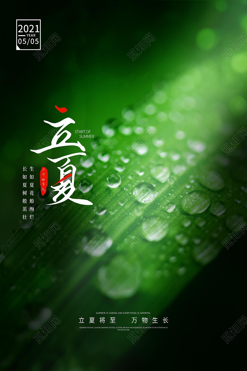 深绿写实绿叶滴水二十四节气立夏宣传海报