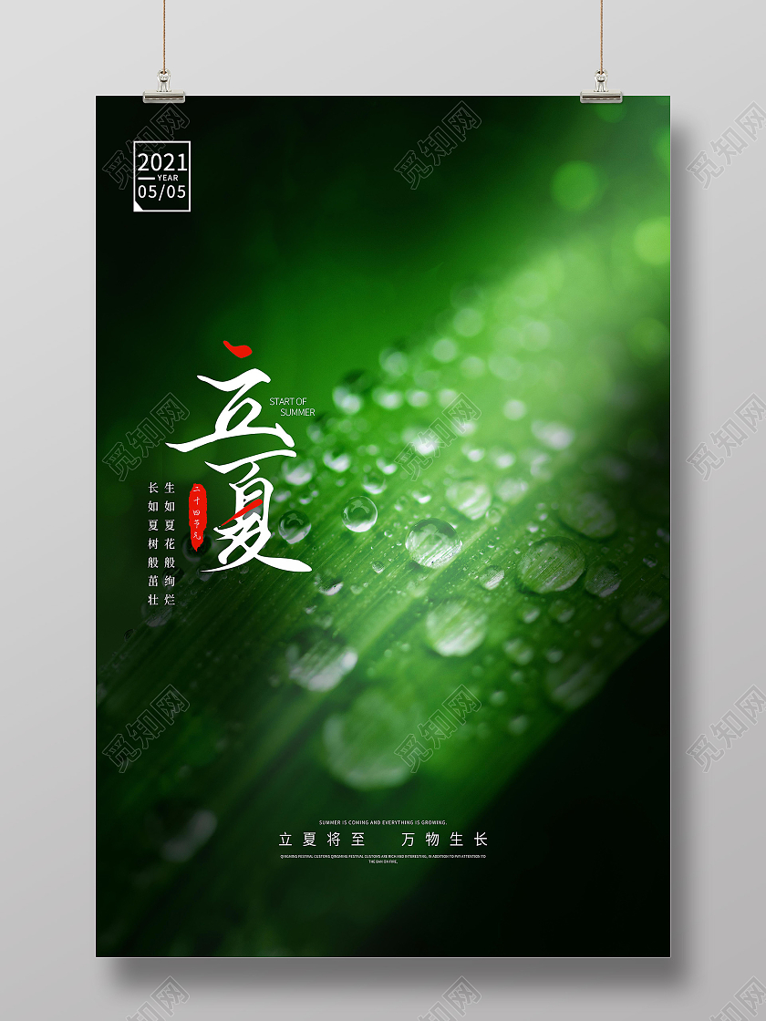 深绿写实绿叶滴水二十四节气立夏宣传海报