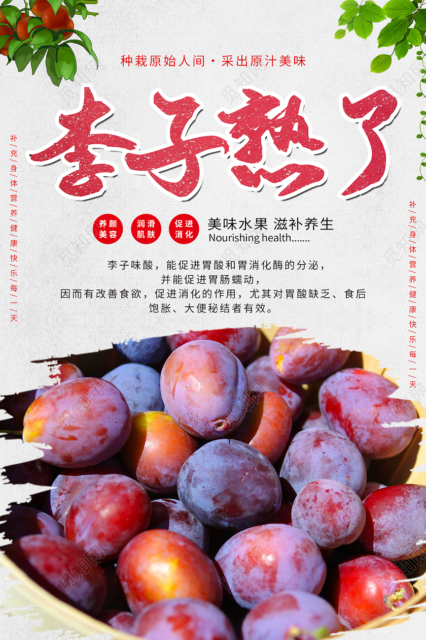 简约清新中国风李子熟了海报
