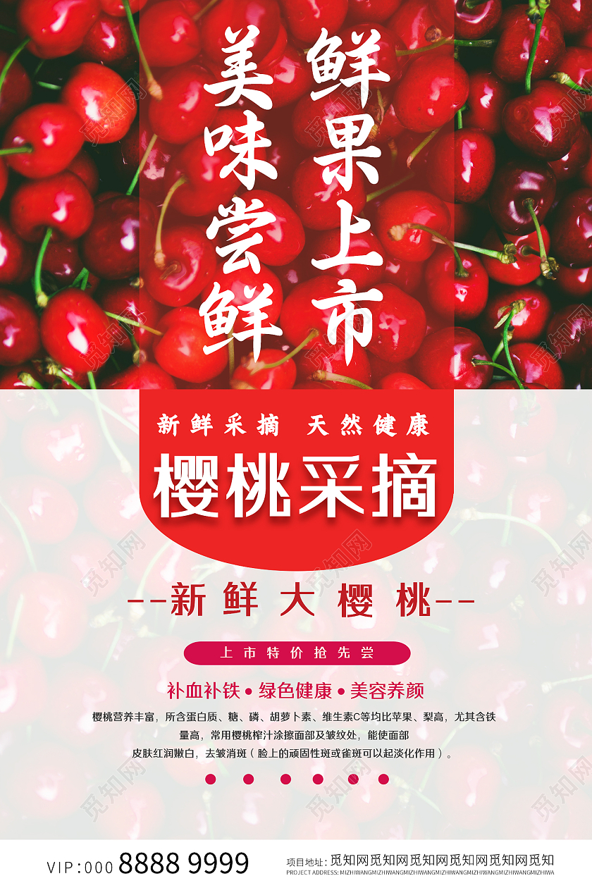 红色简约采摘樱桃海报樱桃采摘