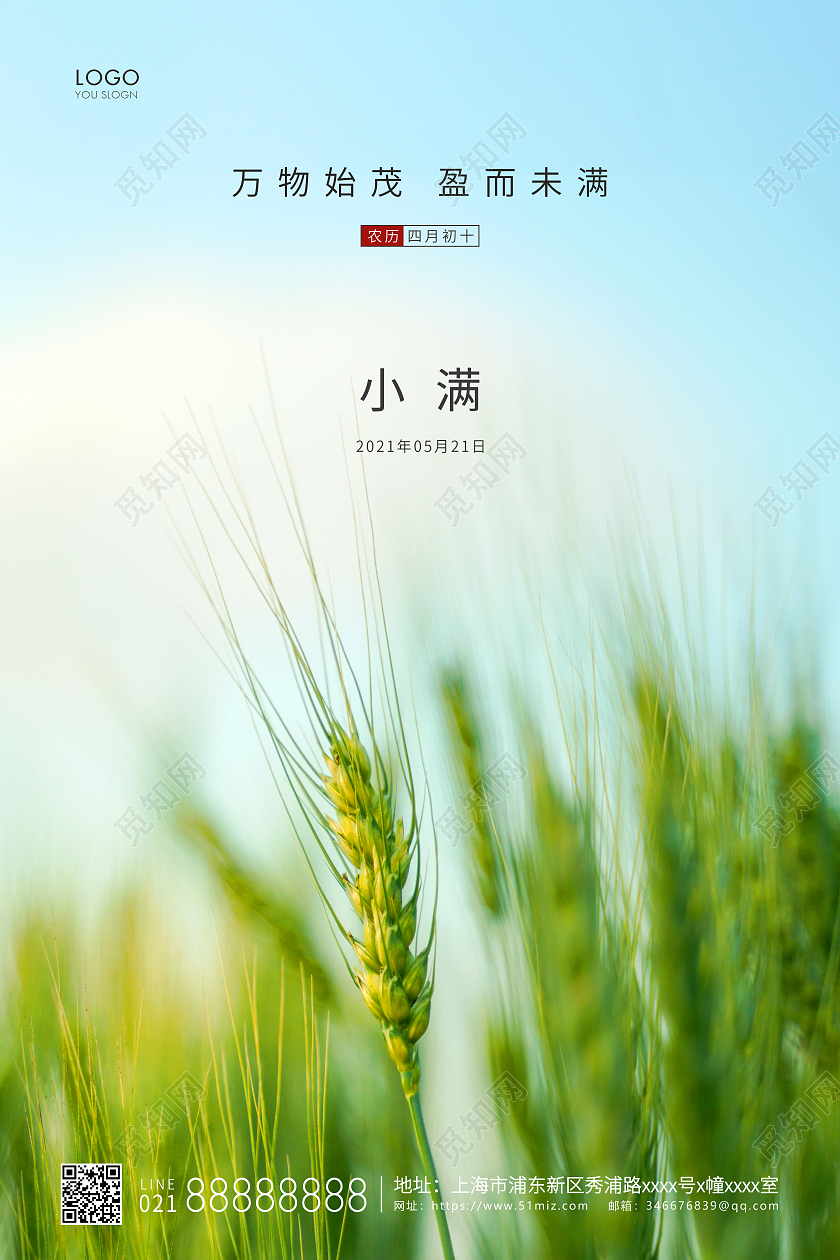 绿色简约二十四节气小满节气宣传海报24节气二十四节气小满