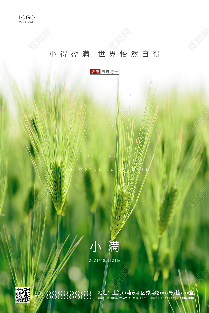 绿色简约二十四节气小满节气宣传海报24节气二十四节气小满