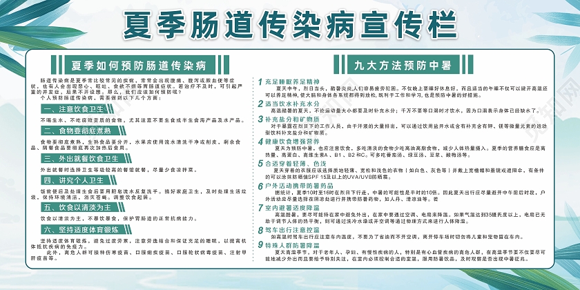 绿色竹叶夏季肠道传染病健康防中暑宣传栏