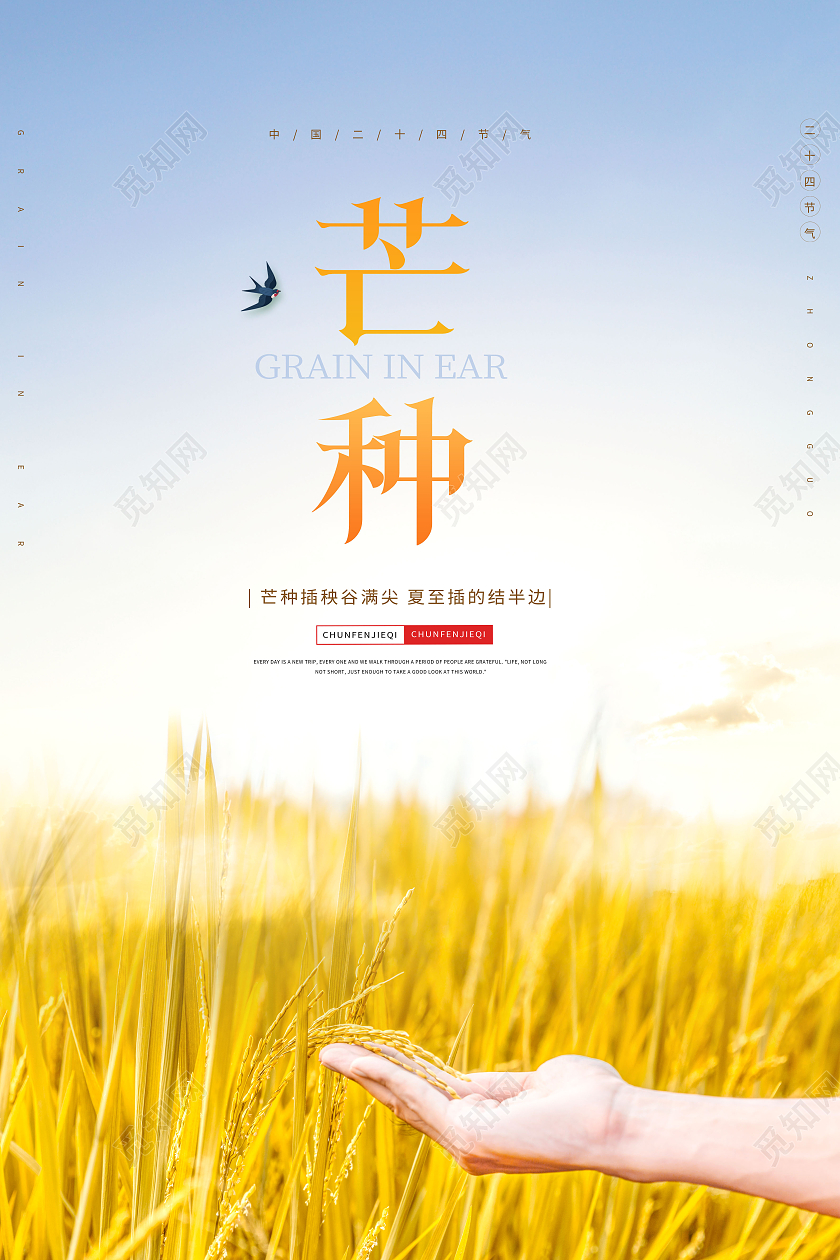 简约芒种传统二十四节气之一芒种海报