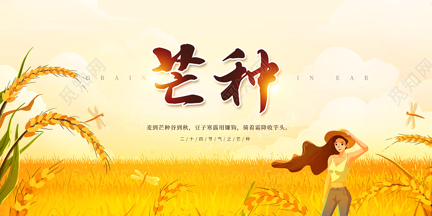 卡通芒种传统二十四节气之一芒种展板