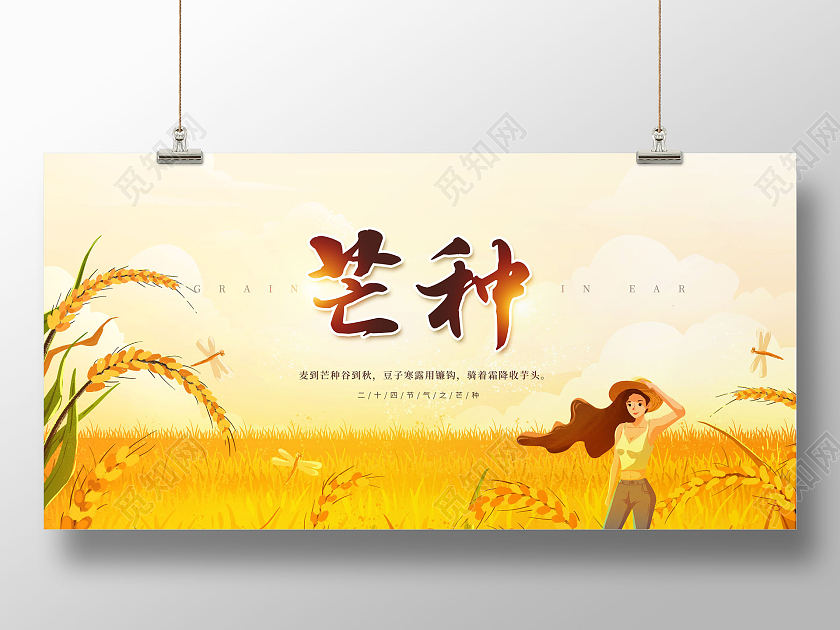 卡通芒种传统二十四节气之一芒种展板