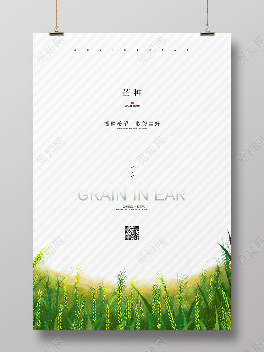 白色简约大气传统节日芒种节气宣传海报设计