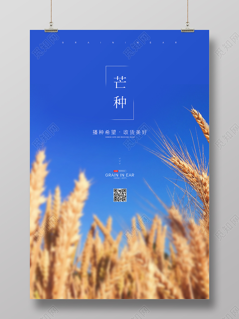 蓝色简约自然实拍二十四节气小麦芒种节气宣传海报