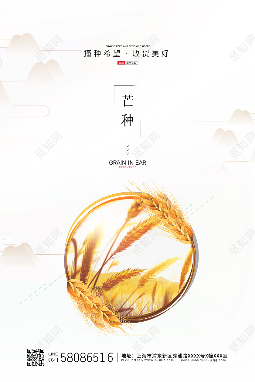 白色简约大气二十四节气小麦芒种节气宣传海报设计