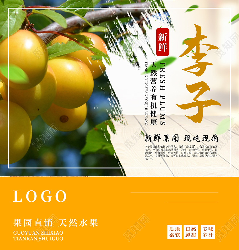 黄色李子简约包装盒李子包装