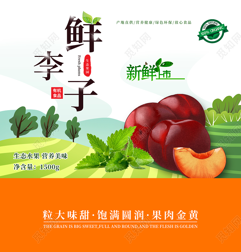 白色橙色鲜李子简约包装李子包装
