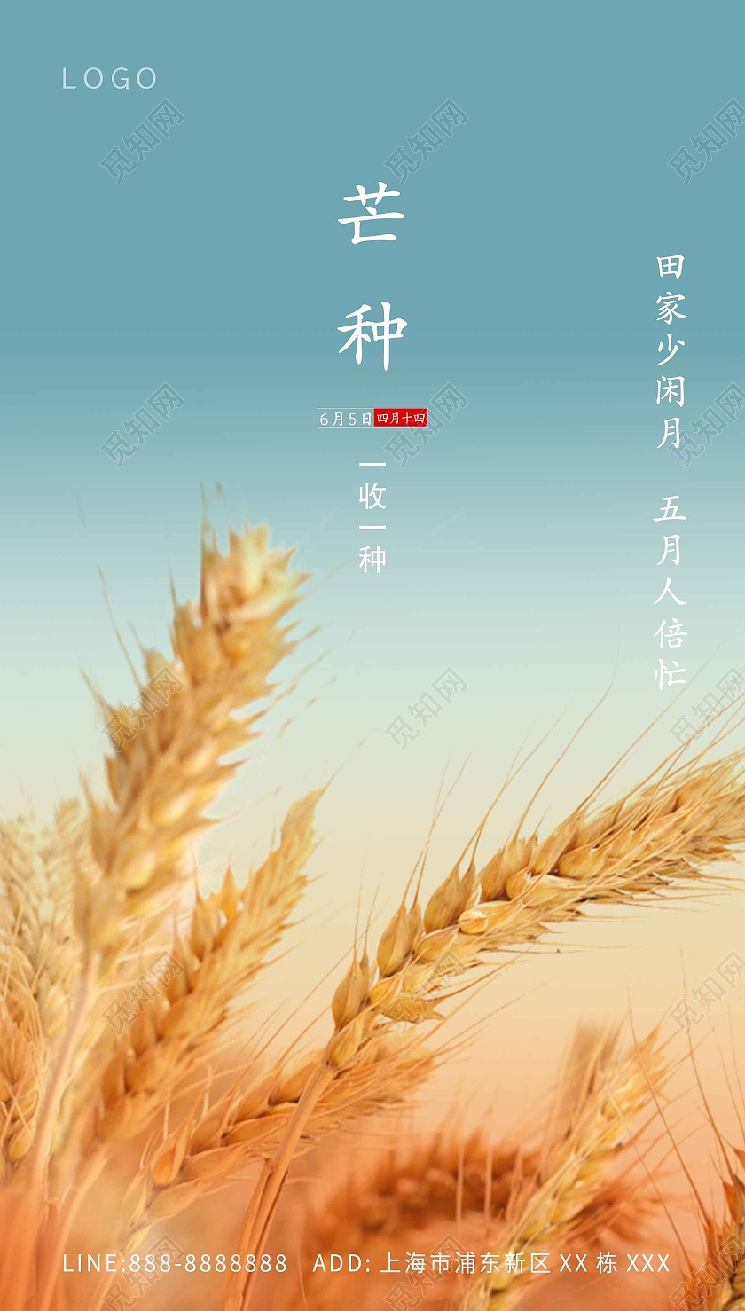 蓝色大气芒种海报芒种ui手机海报