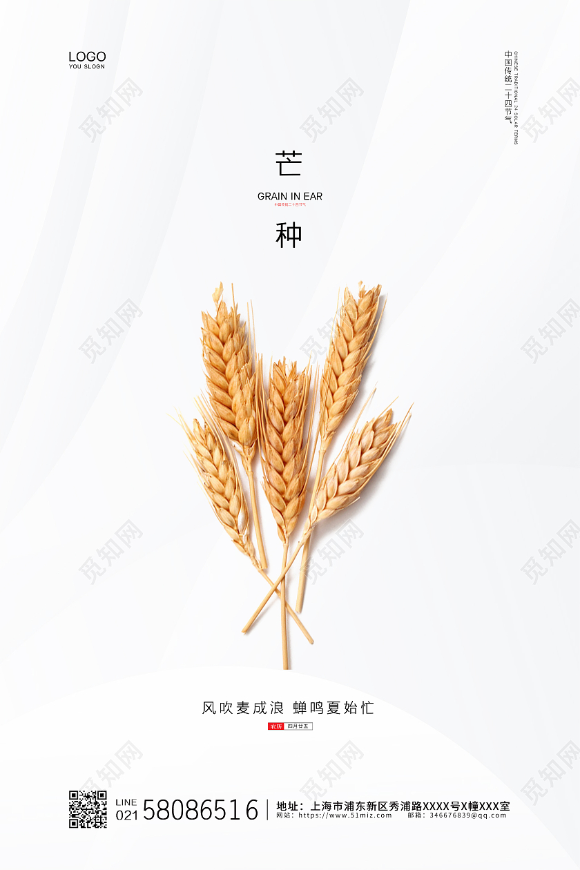 白色简约大气小麦二十四节气芒种节气宣传海报设计
