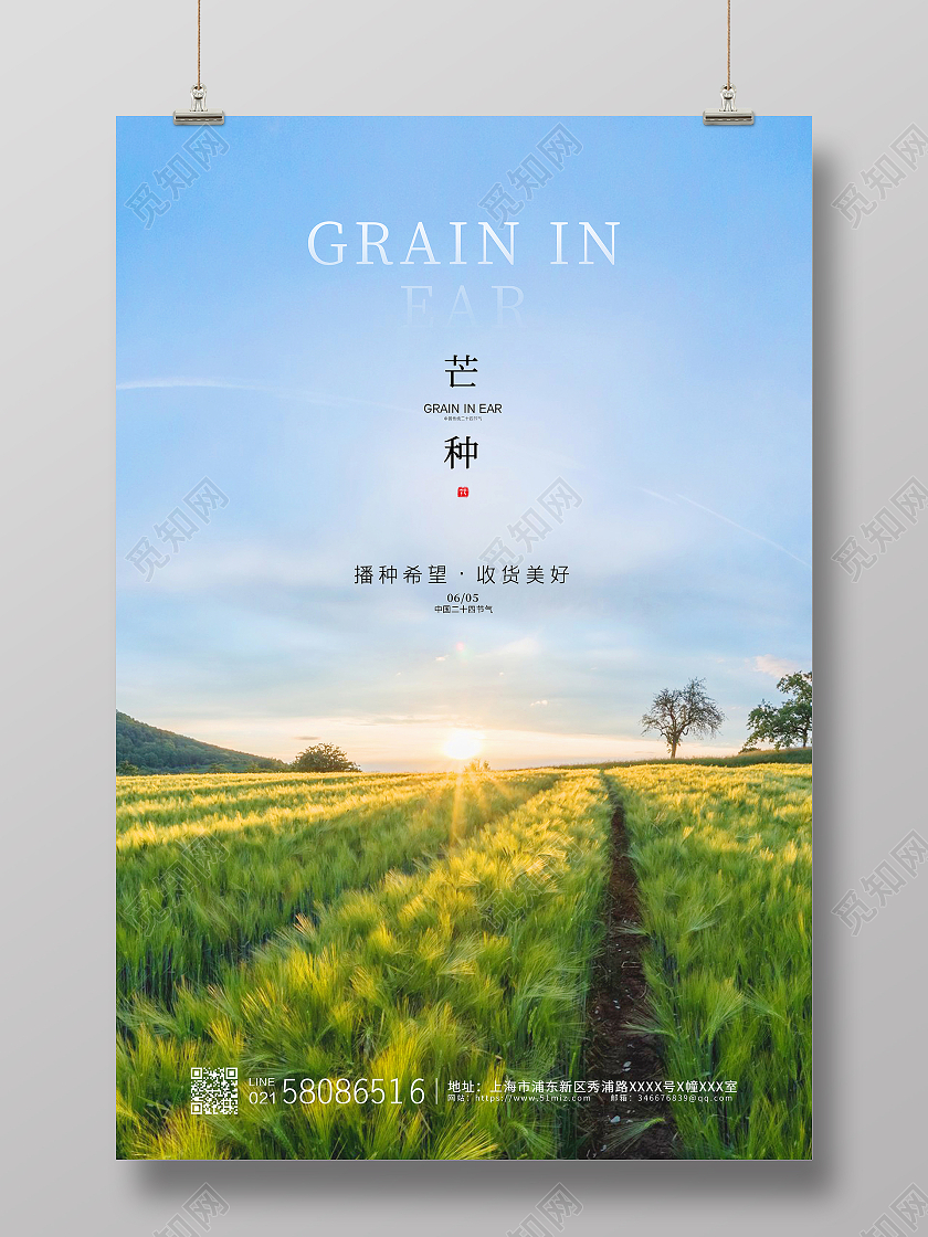 绿色简约实拍麦田二十四节气芒种节气宣传海报设计