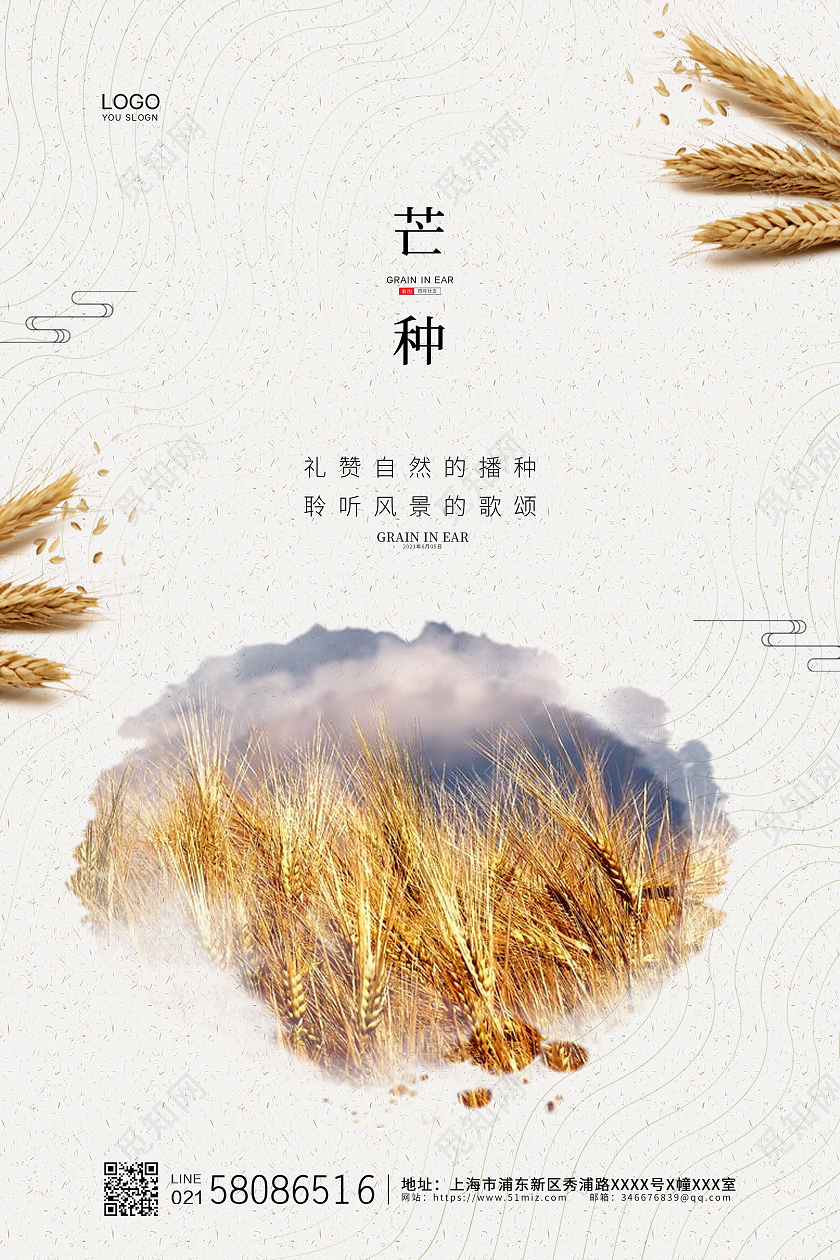 白色简约小麦二十四节气芒种宣传海报