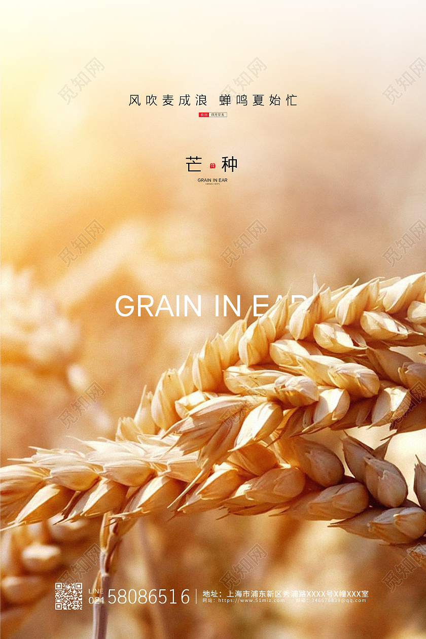 黄色简约大气麦穗二十四节气芒种宣传海报