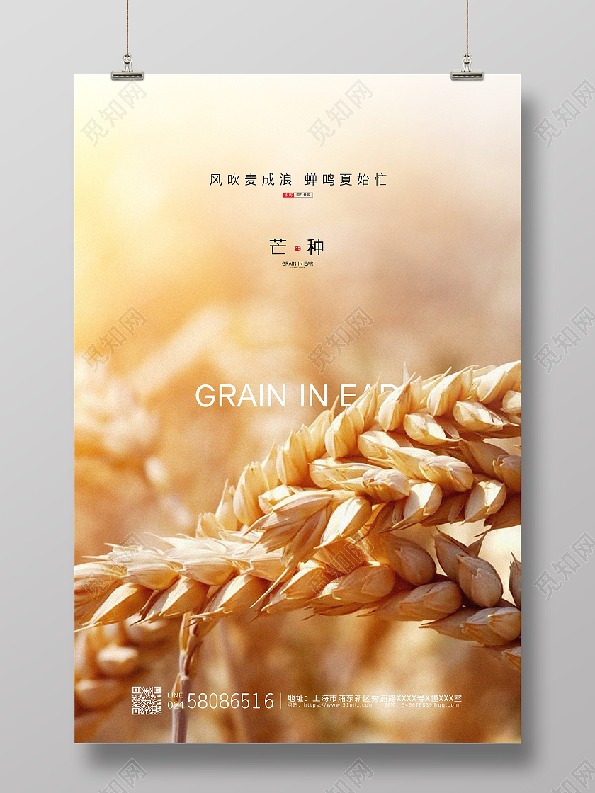 黄色简约大气麦穗二十四节气芒种宣传海报