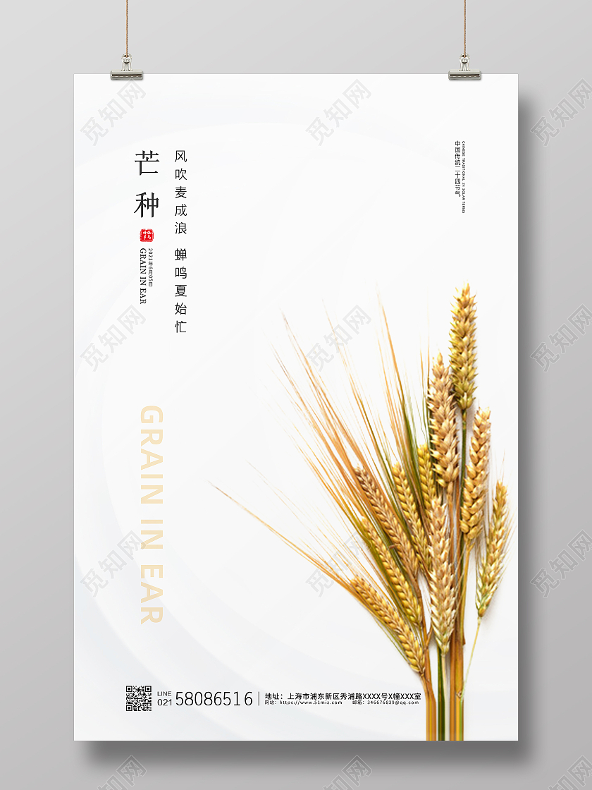 白色简约大气小麦元素芒种节气宣传海报
