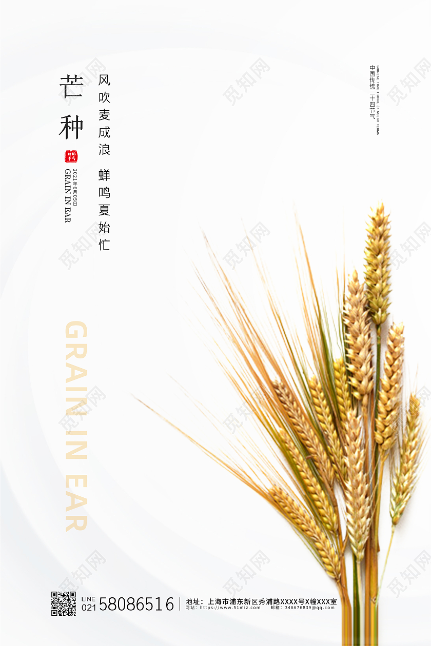 白色简约大气小麦元素芒种节气宣传海报